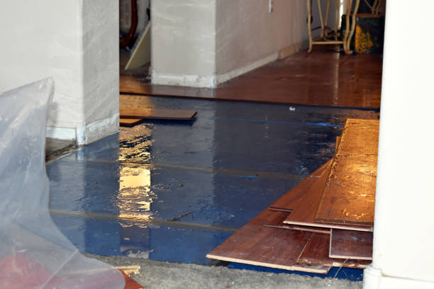 Professional Flood Damage Restoration technician working in Cutler, ME
